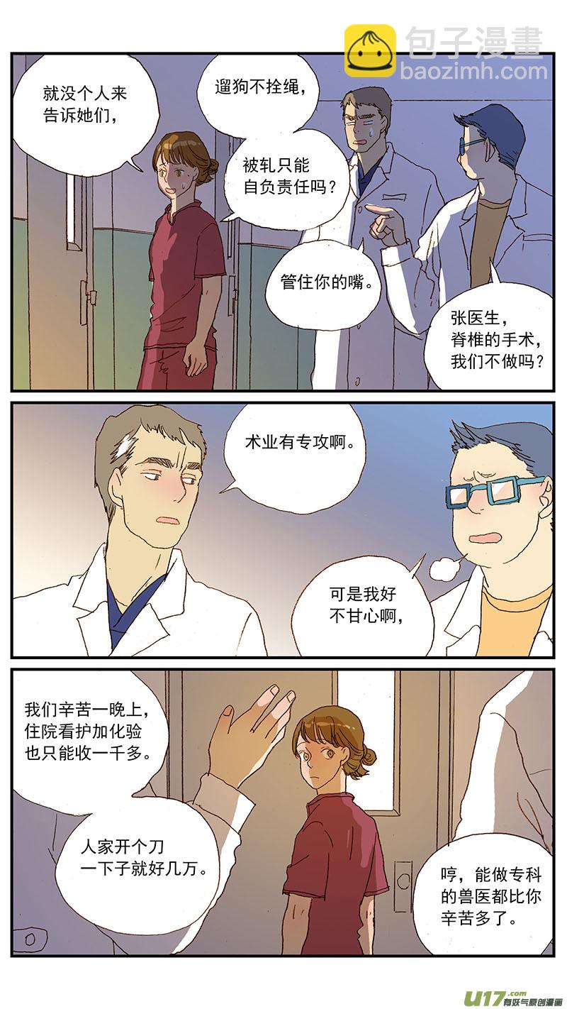 《百足宠物诊所》133 宠物医疗的定价 第13页