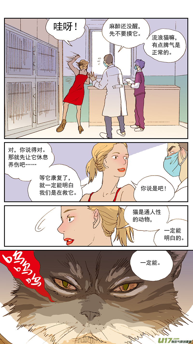 《百足宠物诊所》137 第2页