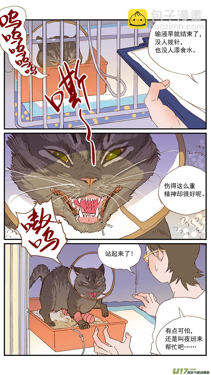 《百足宠物诊所》139 狂犭病有典型特征吗？ 第5页