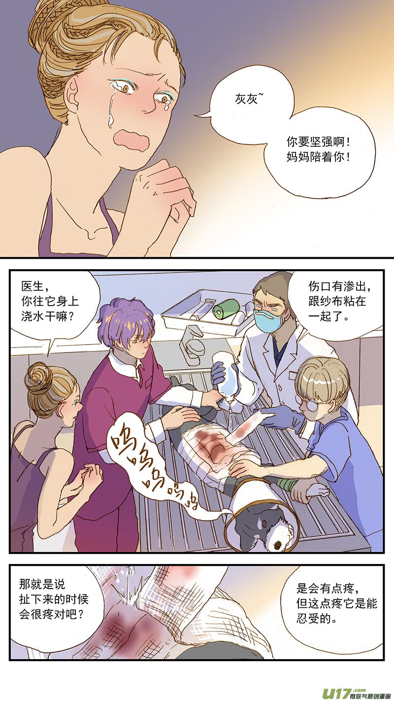 《百足宠物诊所》142 宠物诊疗机构公示看板 第4页