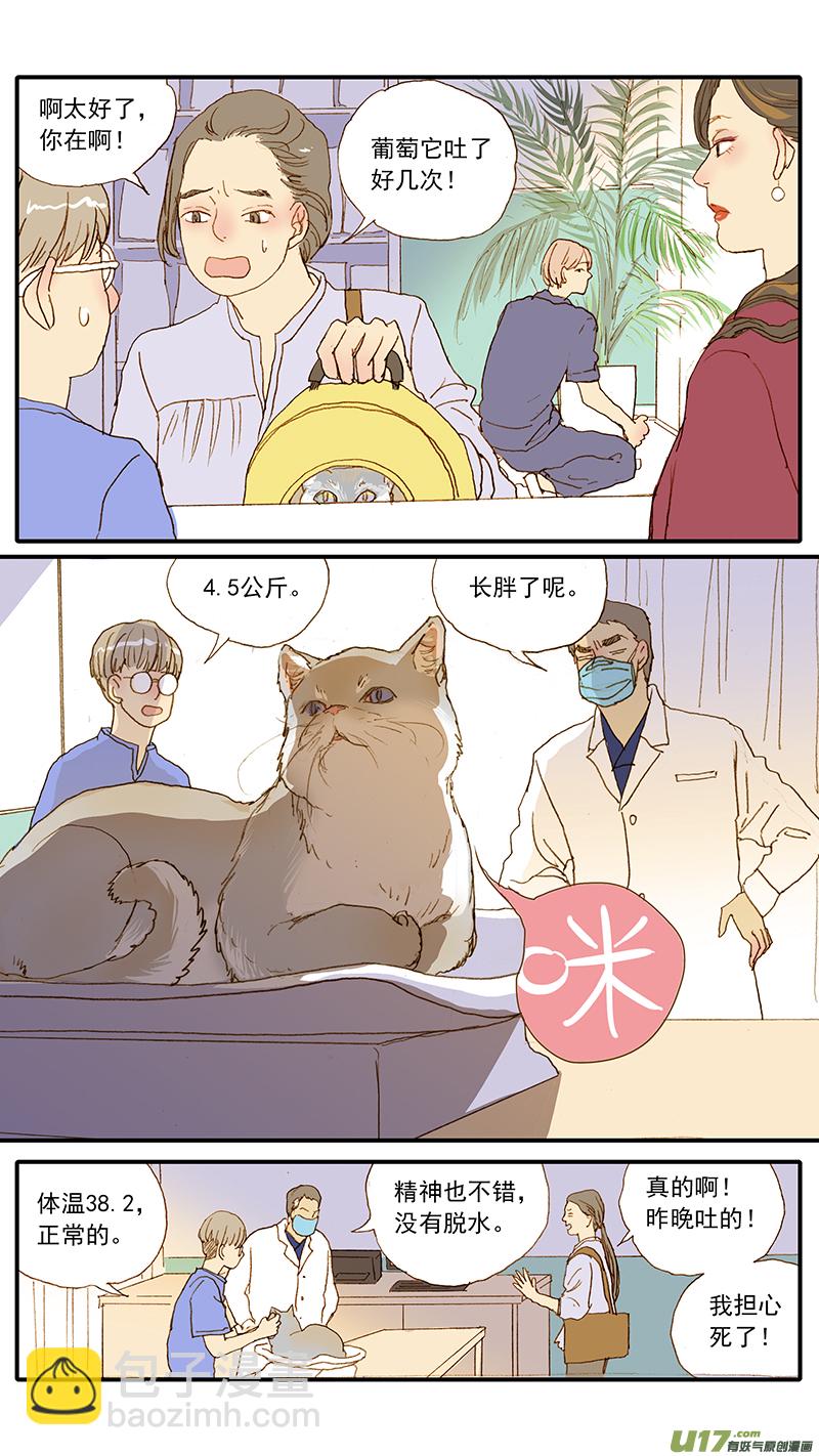 《百足宠物诊所》141 第6页