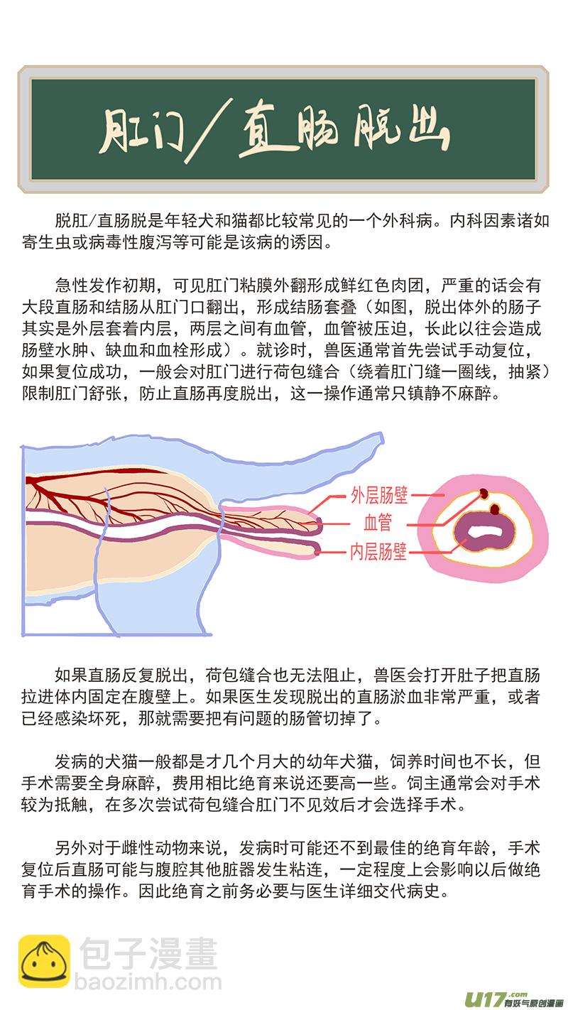 《百足宠物诊所》143 直肠脱 第14页