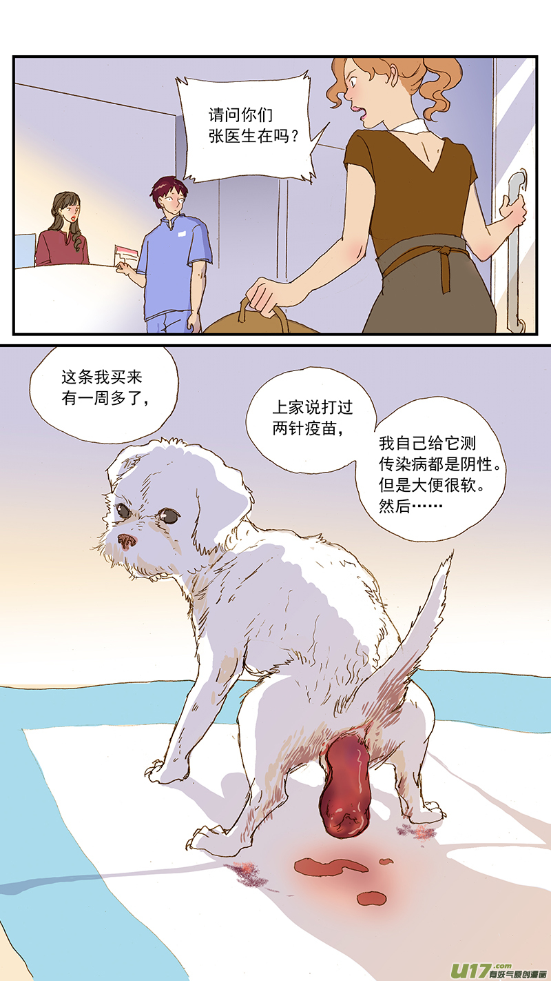 《百足宠物诊所》143 直肠脱 第4页