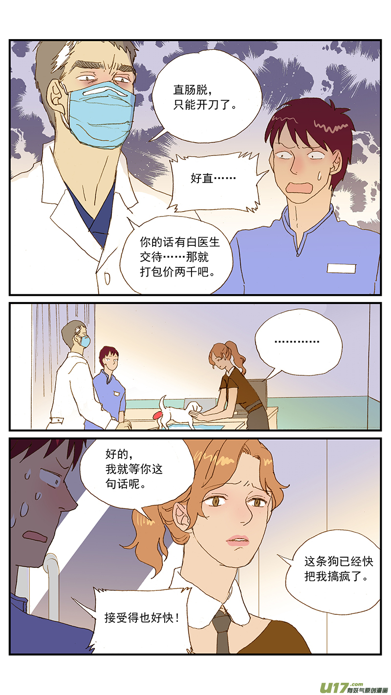 《百足宠物诊所》143 直肠脱 第5页