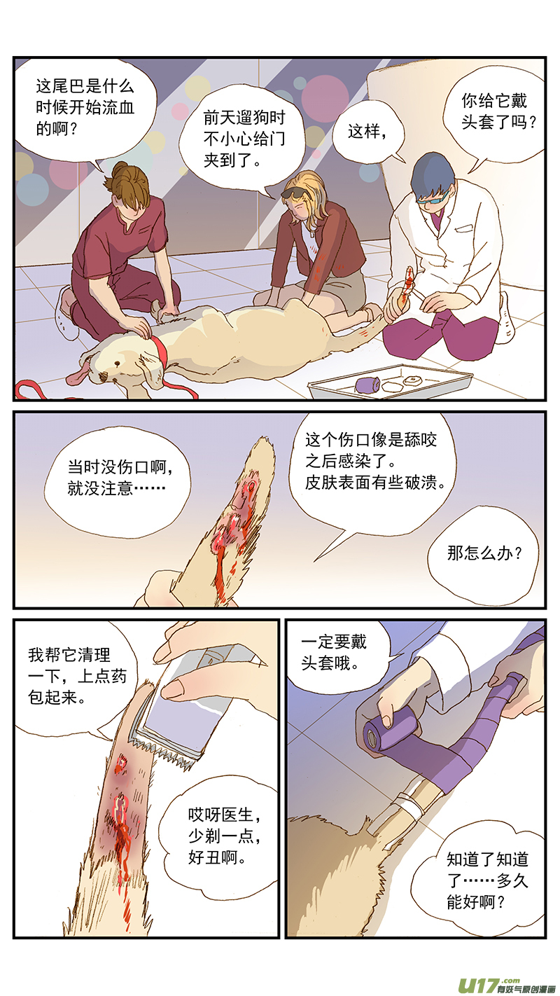 《百足宠物诊所》144 尾尖自损伤 第10页