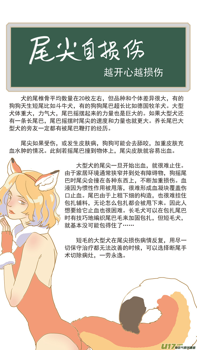 《百足宠物诊所》144 尾尖自损伤 第14页