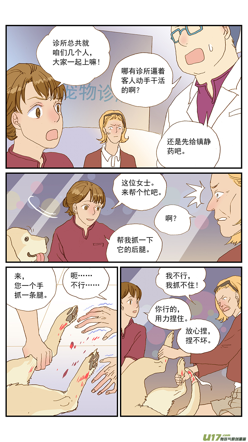 《百足宠物诊所》144 尾尖自损伤 第8页