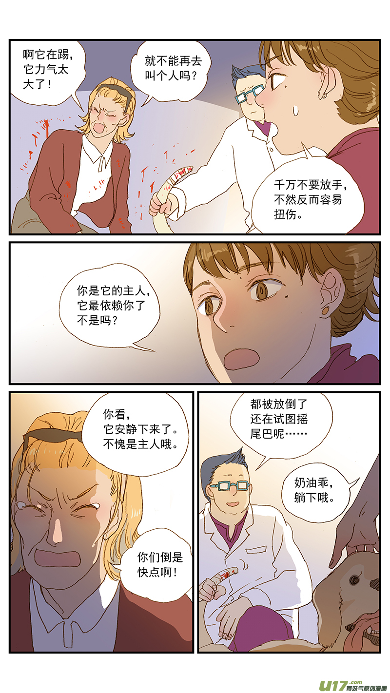 《百足宠物诊所》144 尾尖自损伤 第9页