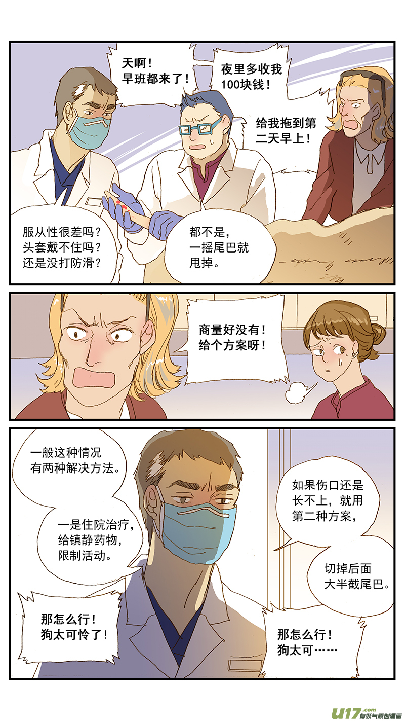 《百足宠物诊所》145 疼痛评估 第3页