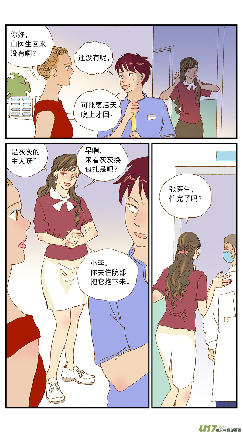 《百足宠物诊所》145 疼痛评估 第5页