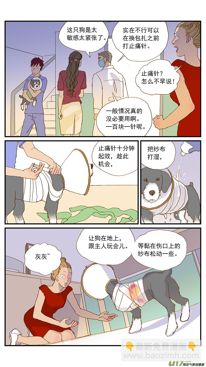 《百足宠物诊所》145 疼痛评估 第7页