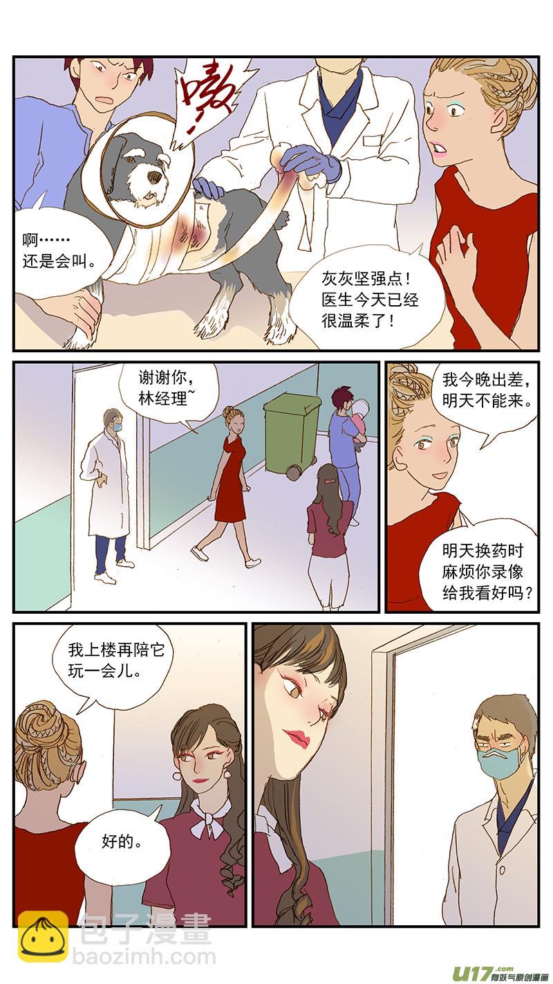 《百足宠物诊所》145 疼痛评估 第8页