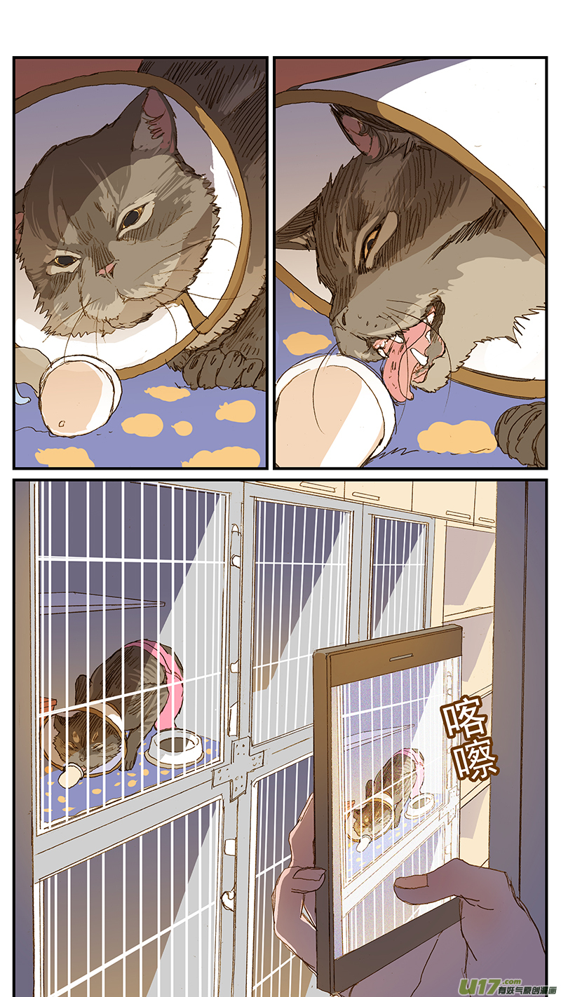 《百足宠物诊所》147 第10页