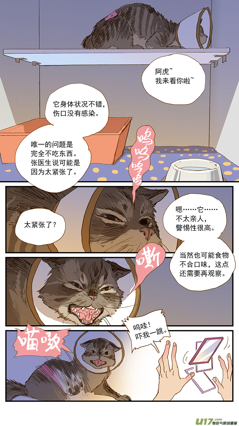 《百足宠物诊所》147 第4页