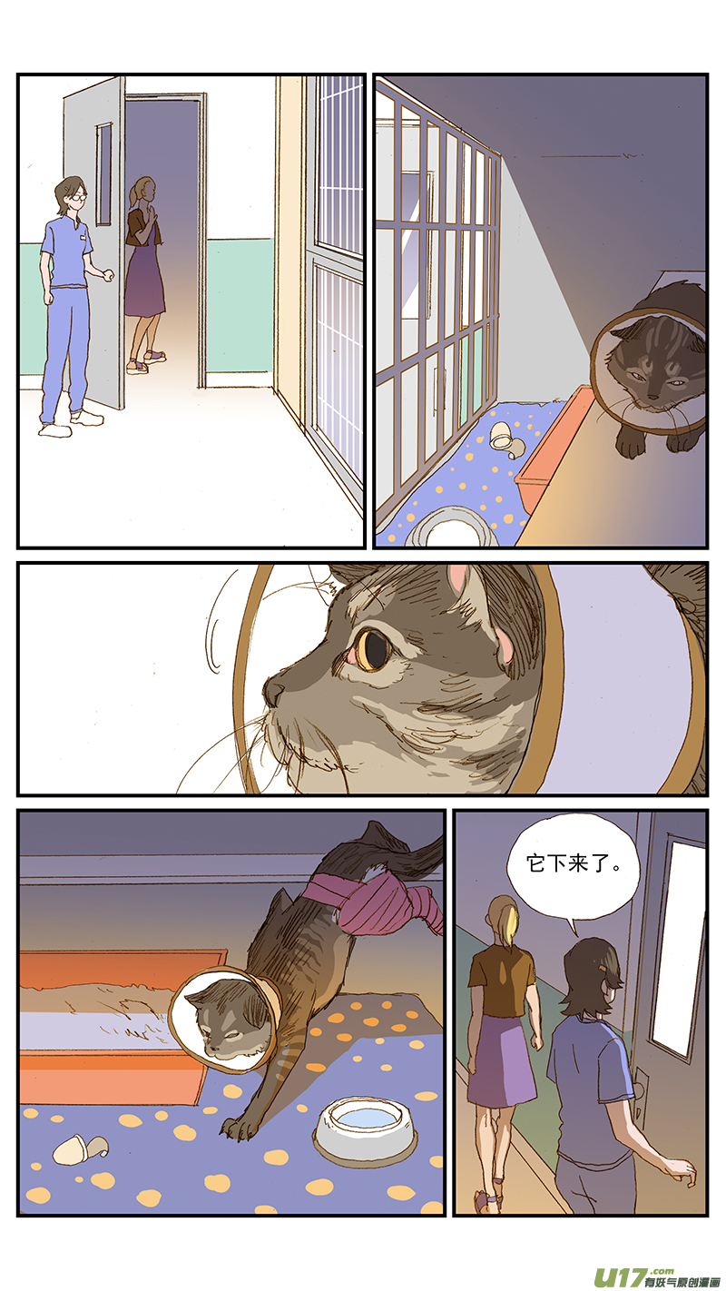 《百足宠物诊所》147 第9页