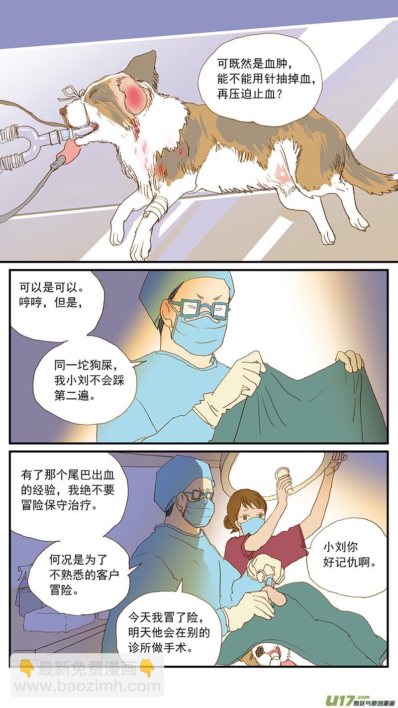 《百足宠物诊所》149 耳血肿 第10页