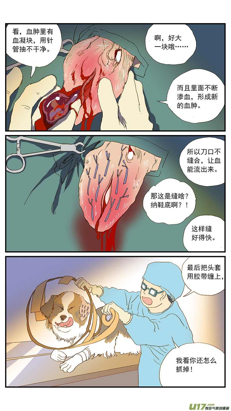《百足宠物诊所》149 耳血肿 第11页