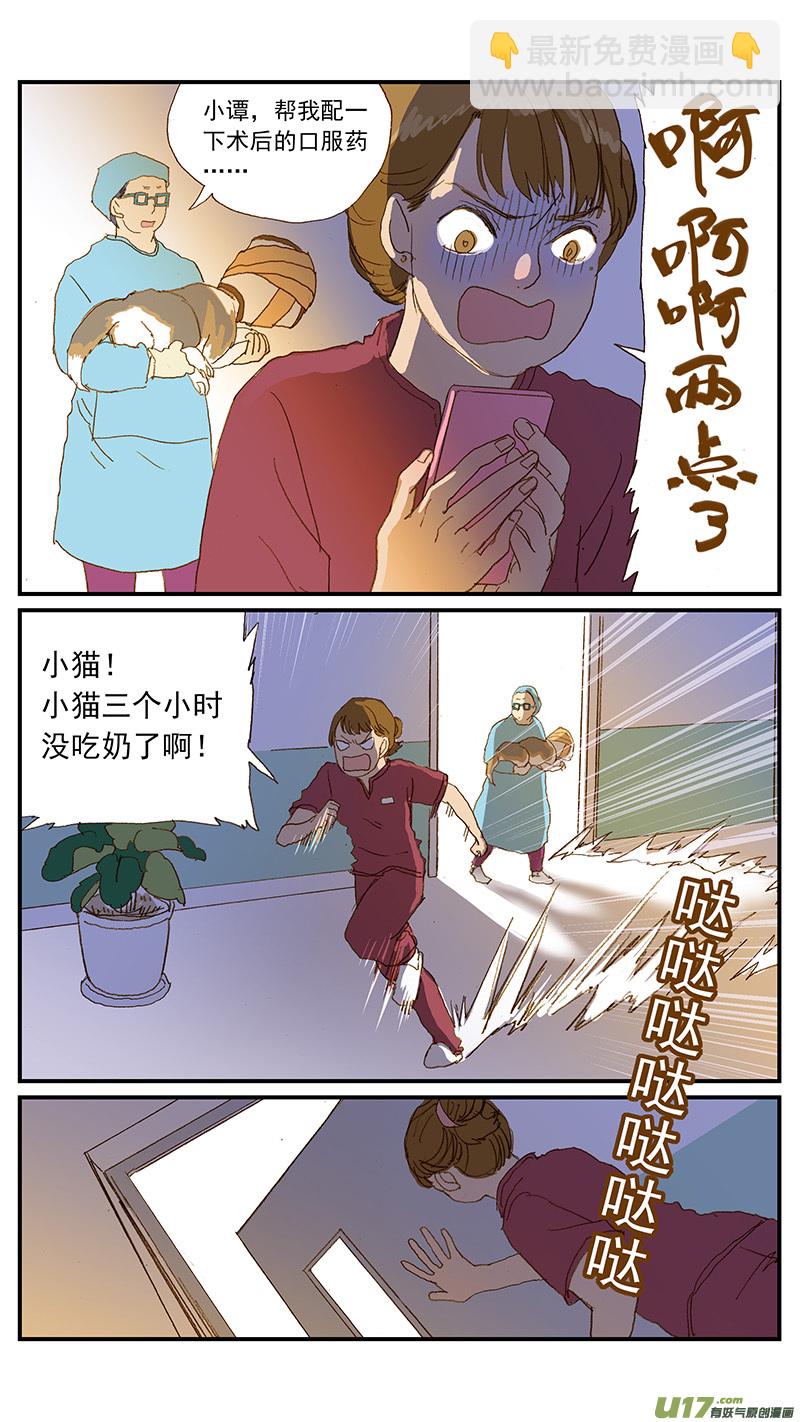 《百足宠物诊所》149 耳血肿 第12页