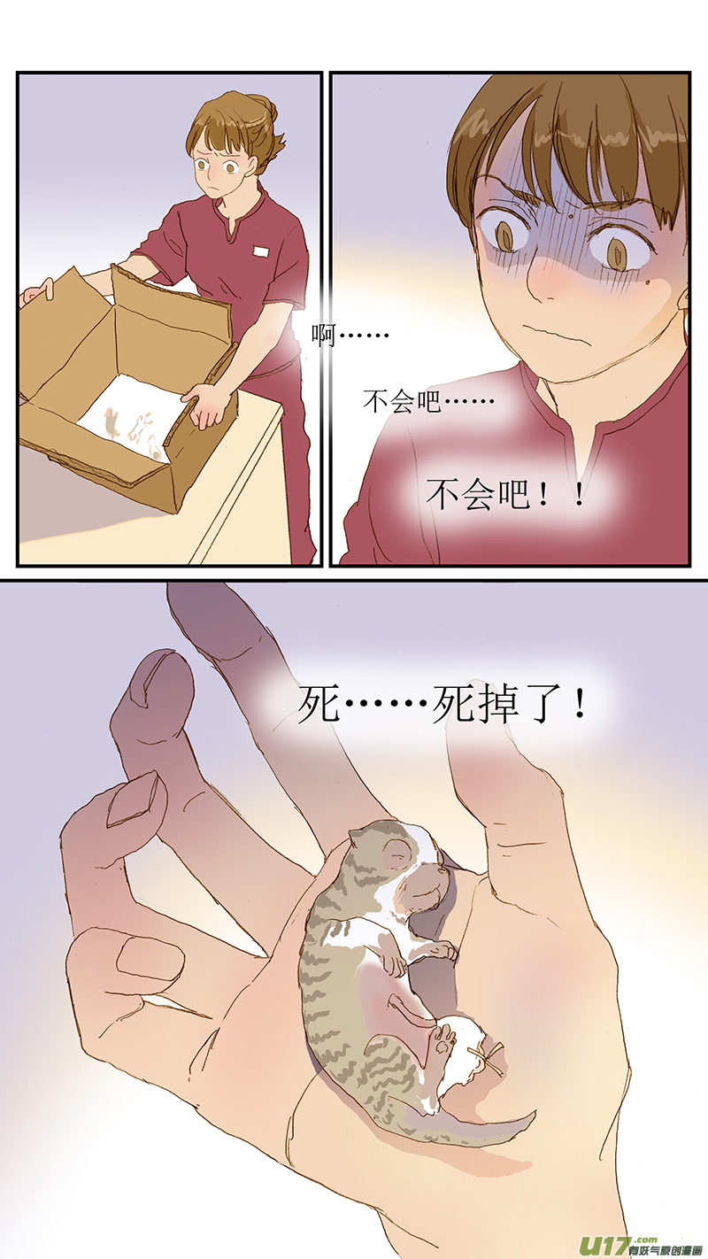《百足宠物诊所》149 耳血肿 第13页