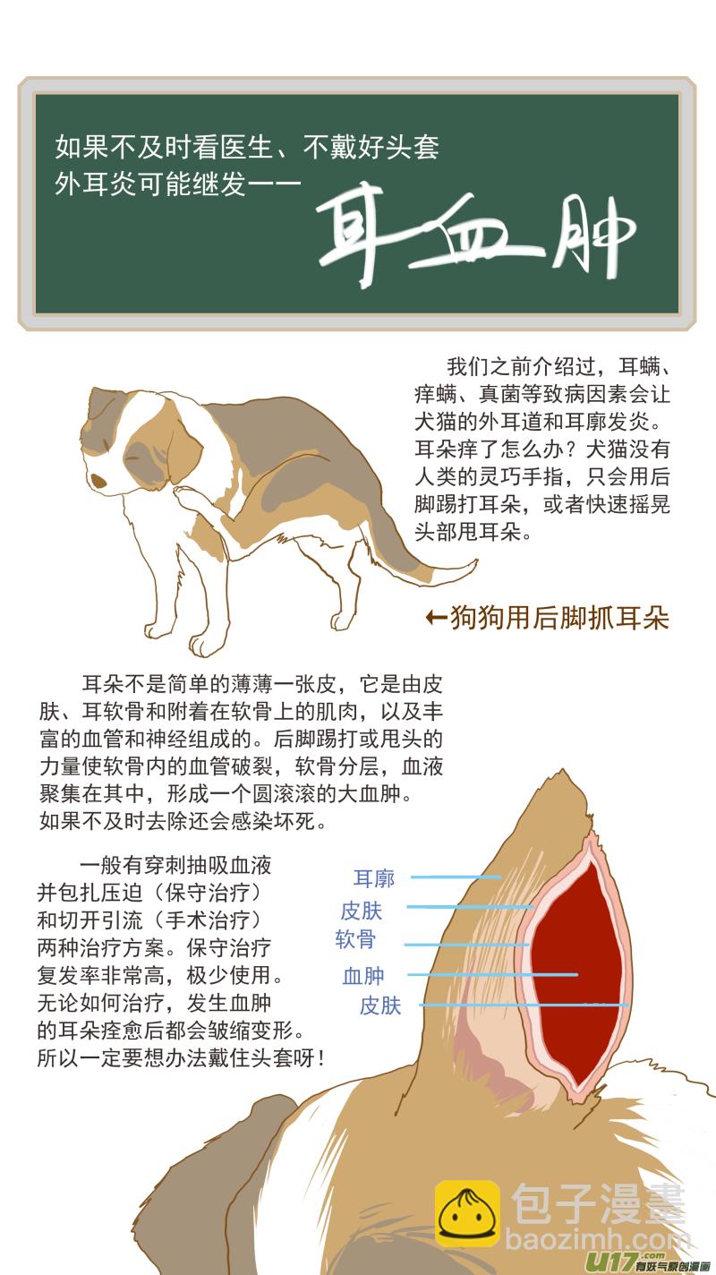 《百足宠物诊所》149 耳血肿 第14页