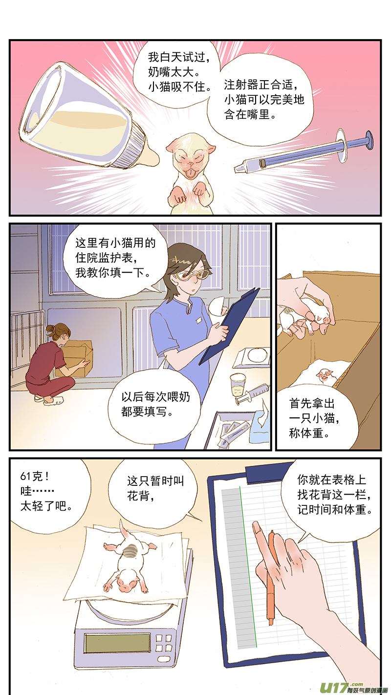 《百足宠物诊所》149 耳血肿 第2页