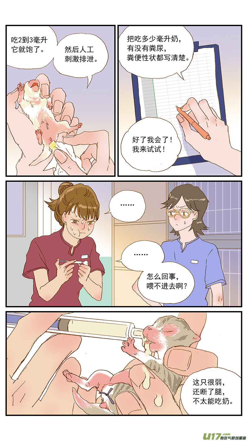 《百足宠物诊所》149 耳血肿 第4页