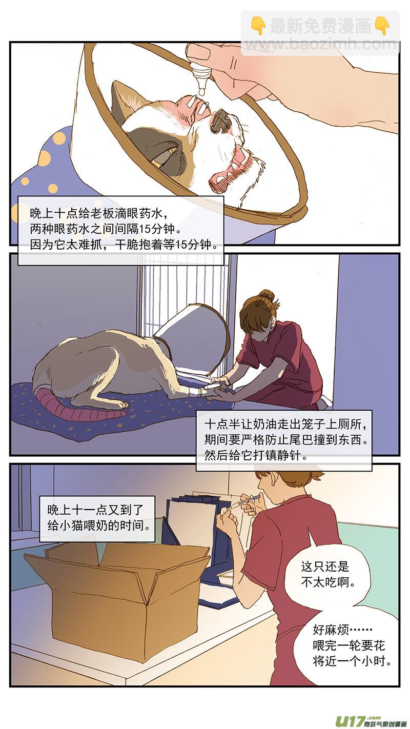《百足宠物诊所》149 耳血肿 第7页