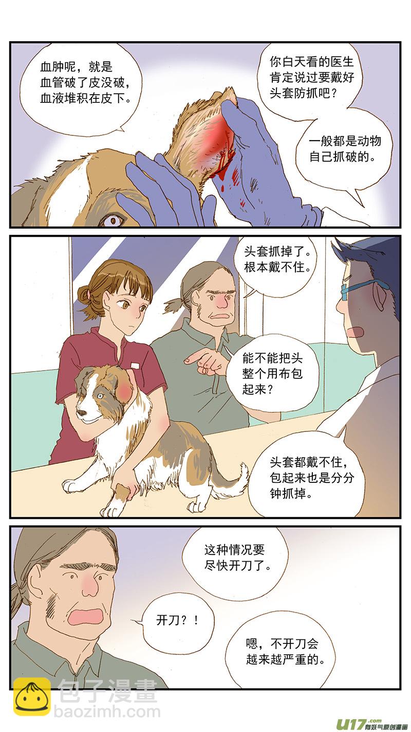 《百足宠物诊所》149 耳血肿 第9页