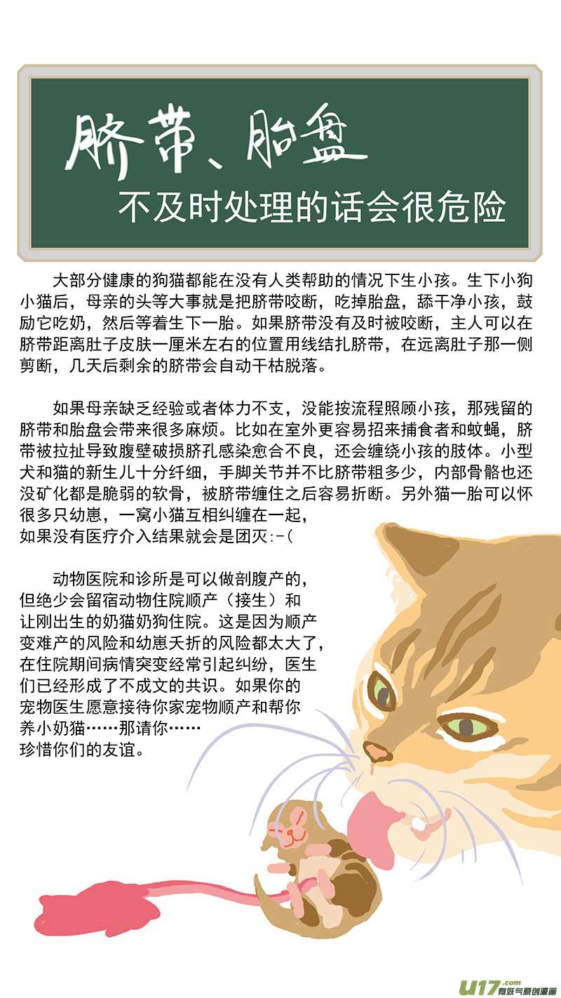 《百足宠物诊所》148 脐带打结 第13页
