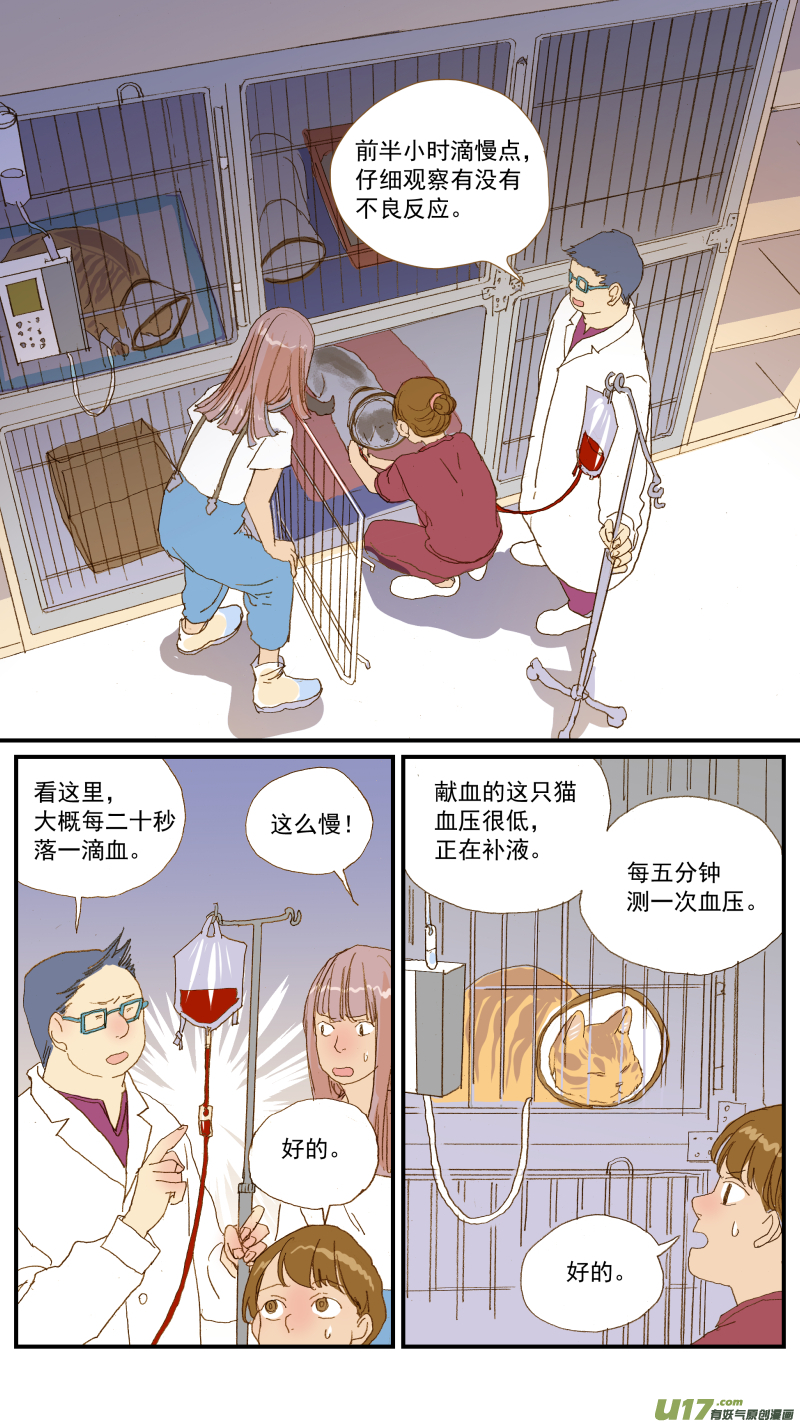 《百足宠物诊所》154 免疫介导性溶血性贫血 第11页