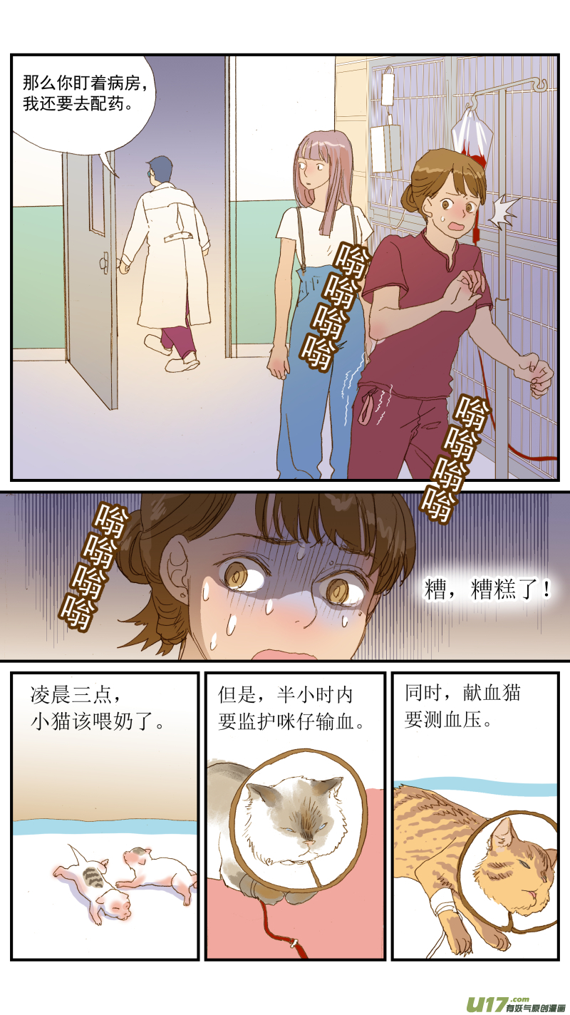 《百足宠物诊所》154 免疫介导性溶血性贫血 第12页