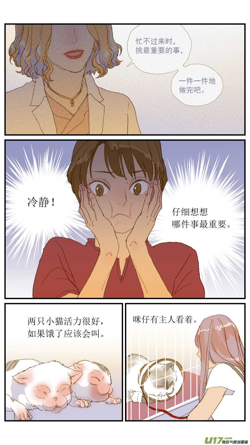 《百足宠物诊所》154 免疫介导性溶血性贫血 第13页