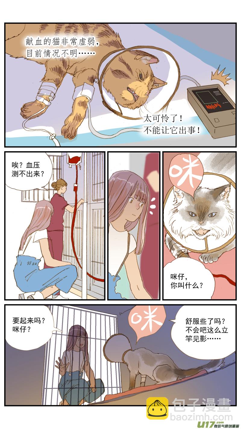 《百足宠物诊所》154 免疫介导性溶血性贫血 第14页