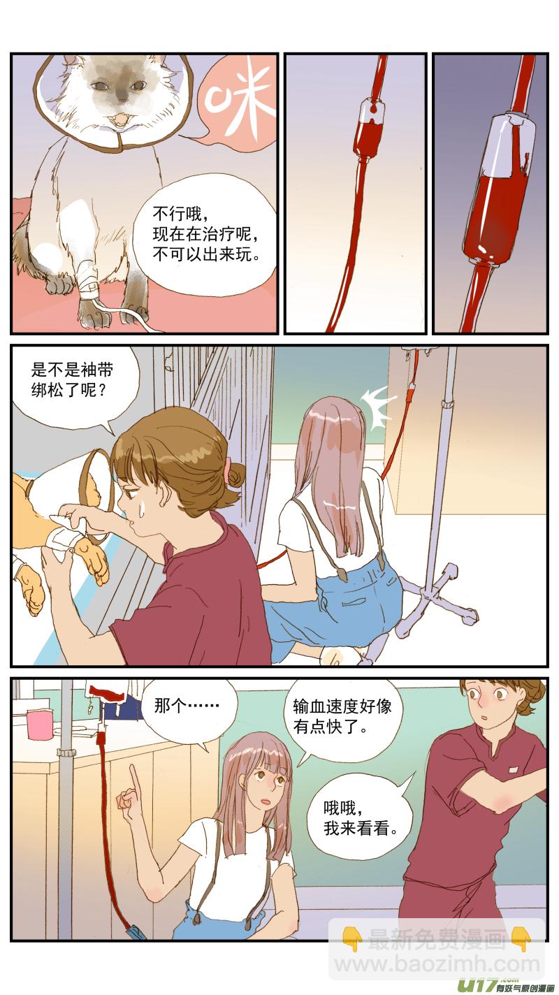 《百足宠物诊所》154 免疫介导性溶血性贫血 第15页