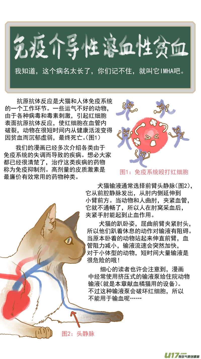 《百足宠物诊所》154 免疫介导性溶血性贫血 第17页