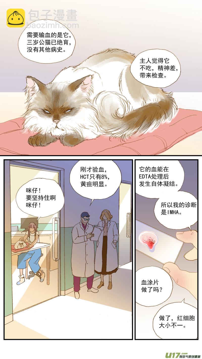 《百足宠物诊所》154 免疫介导性溶血性贫血 第7页