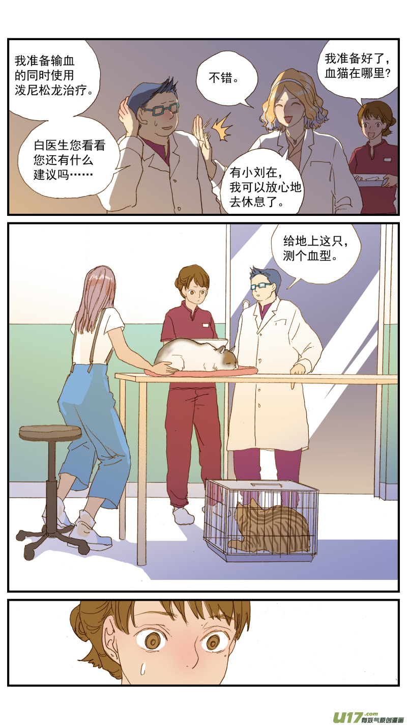 《百足宠物诊所》154 免疫介导性溶血性贫血 第8页