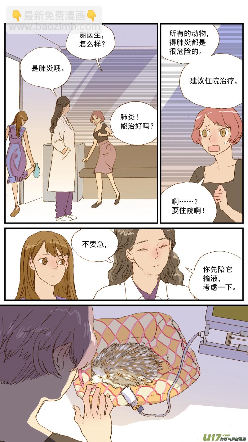 《百足宠物诊所》155 刺猬怎么看病 第10页