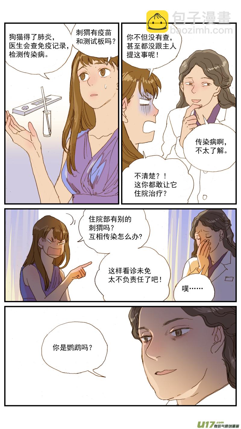 《百足宠物诊所》155 刺猬怎么看病 第12页