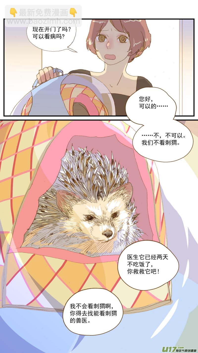 《百足宠物诊所》155 刺猬怎么看病 第3页