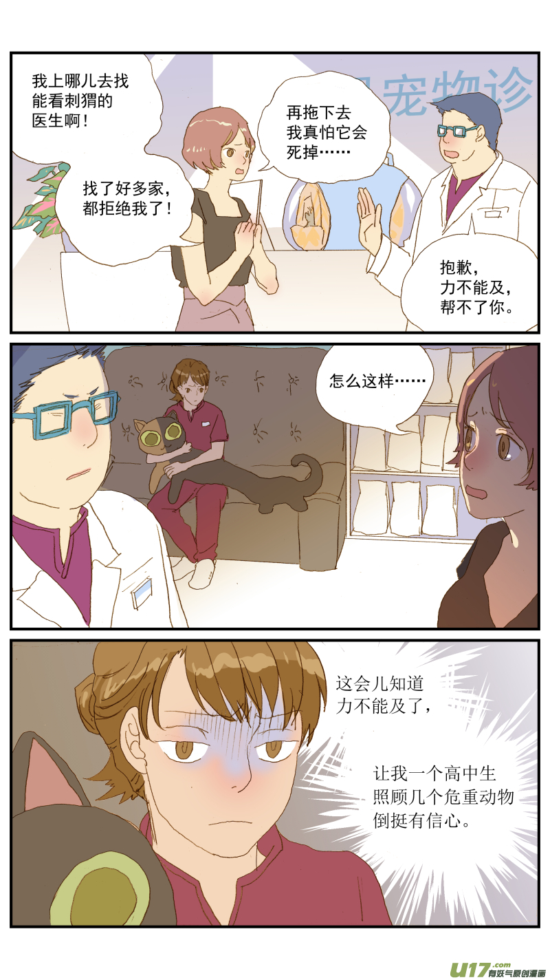 《百足宠物诊所》155 刺猬怎么看病 第4页