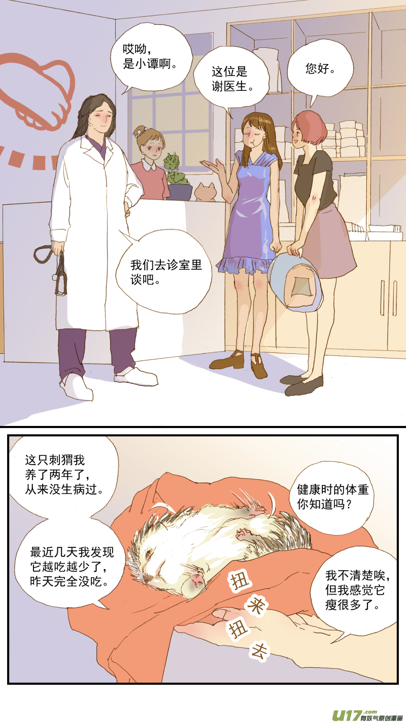 《百足宠物诊所》155 刺猬怎么看病 第6页