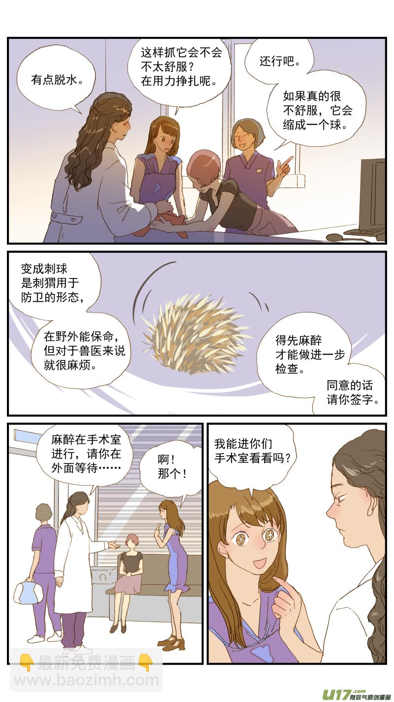 《百足宠物诊所》155 刺猬怎么看病 第7页
