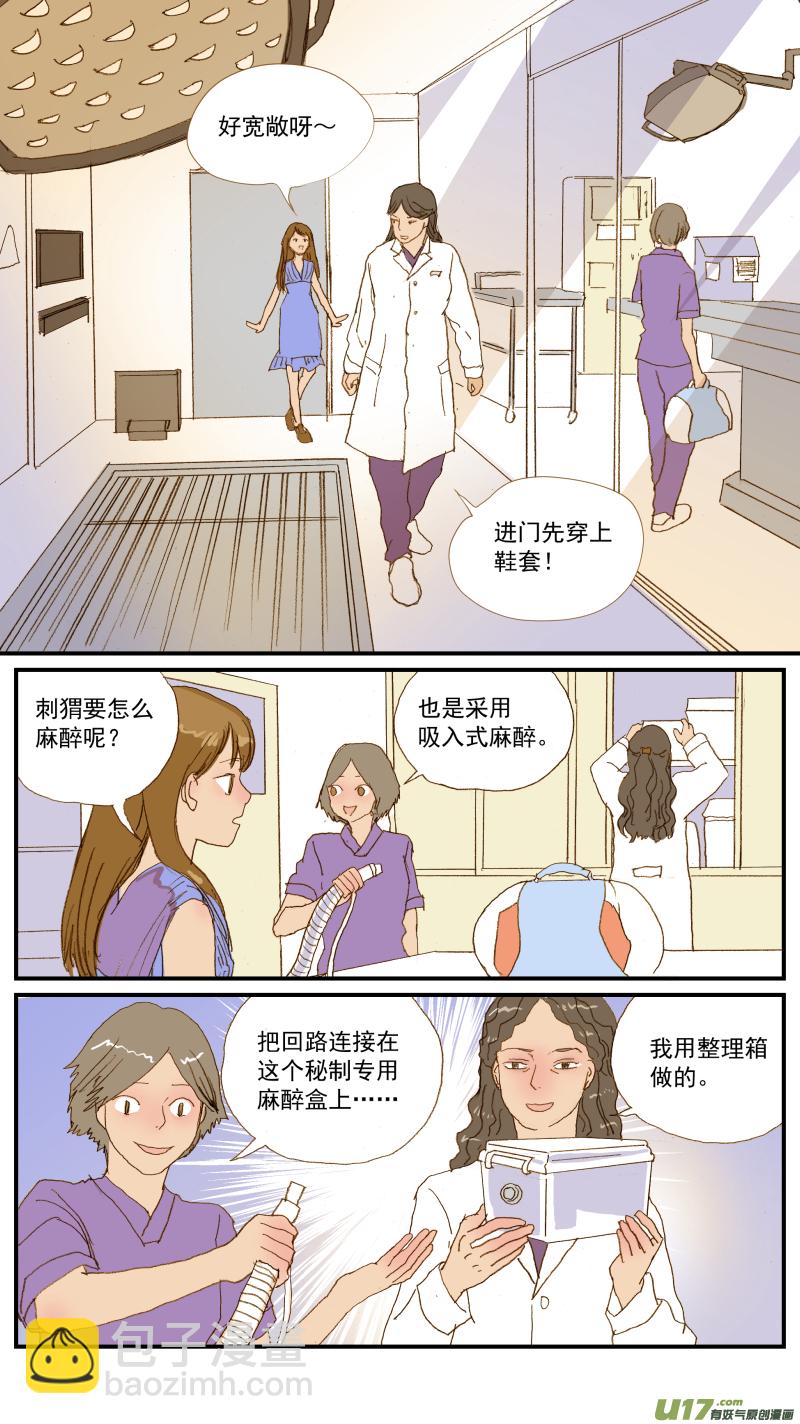 《百足宠物诊所》155 刺猬怎么看病 第8页