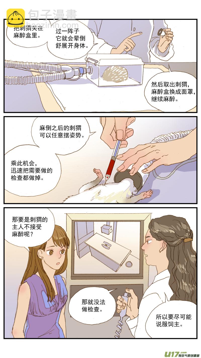 《百足宠物诊所》155 刺猬怎么看病 第9页