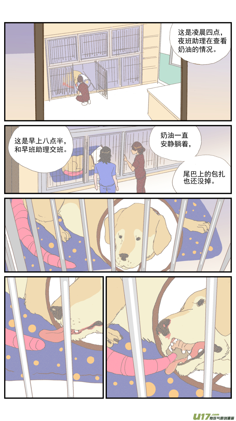 《百足宠物诊所》152 动物突然晕倒怎么办 第11页
