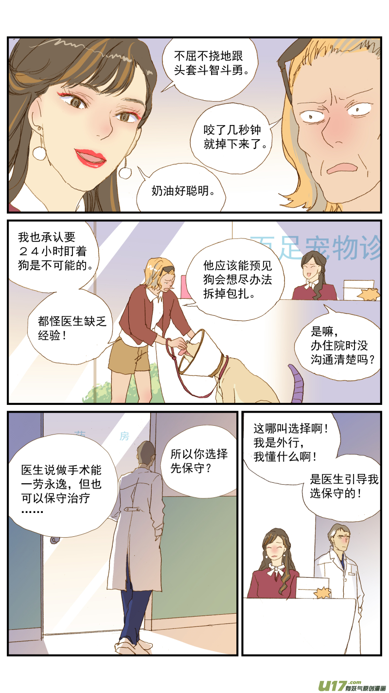 《百足宠物诊所》152 动物突然晕倒怎么办 第12页