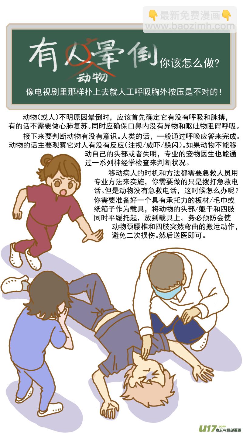 《百足宠物诊所》152 动物突然晕倒怎么办 第14页