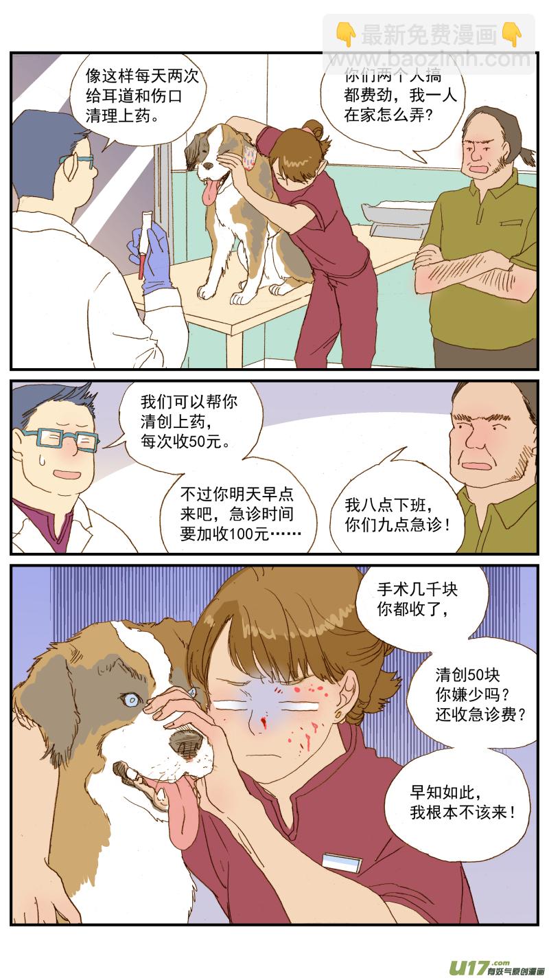 《百足宠物诊所》153 耳血肿的术后护理 第9页