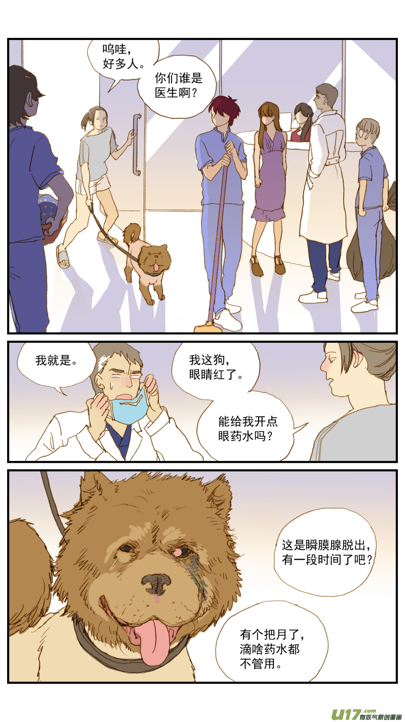 《百足宠物诊所》156 宠物医院和宠物诊所的区别 第7页